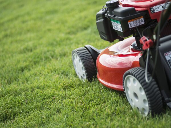 How to Choose the Perfect Mower for Your Property Size and Type