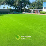 Large Commercial Project Artificial Grass